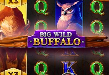 Автомат Big Wild Buffalo в No Bonus Casino